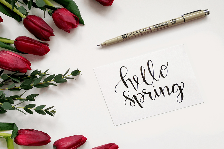 A handwritten card reading “hello spring” placed on a white surface, surrounded by red tulips and greenery, with a pen above it