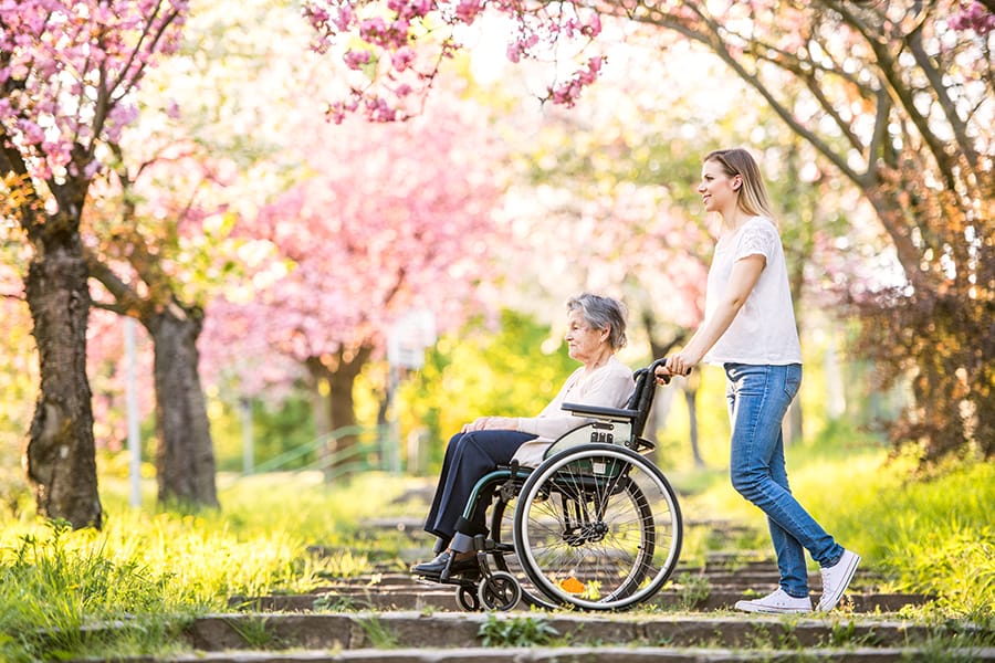 A young woman pushes an elderly woman in a wheelchair along a sunlit path lined with blooming pink trees.