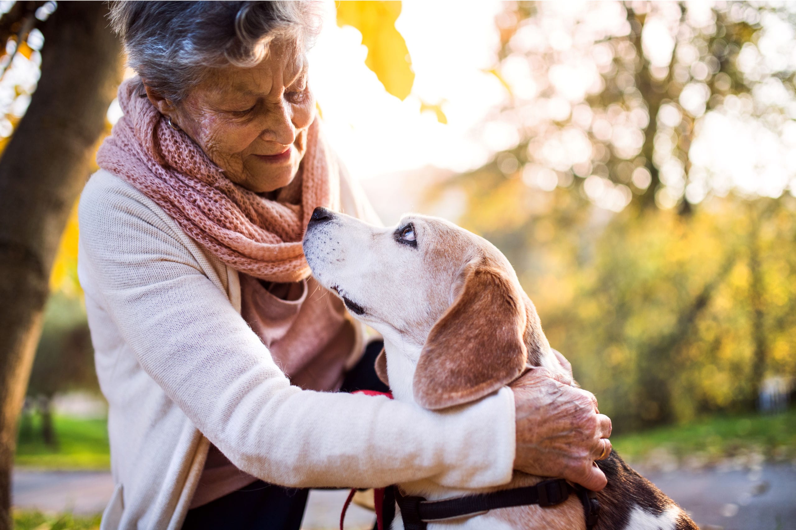 An elderly woman gently hugs and smiles at a dog outdoors on a sunny day, with warm autumn colours in the background.