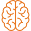 brain