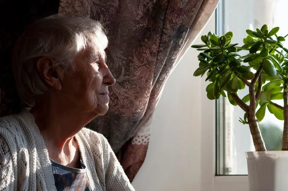 An elderly lady sat looking out of the window with a melancholy look